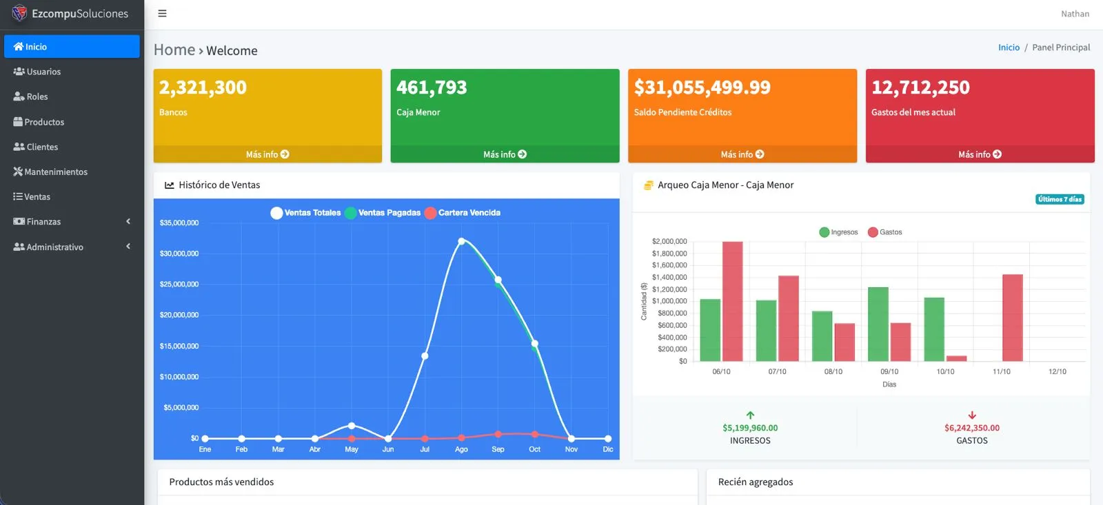 EzCompu Soluciones, Business admin panel